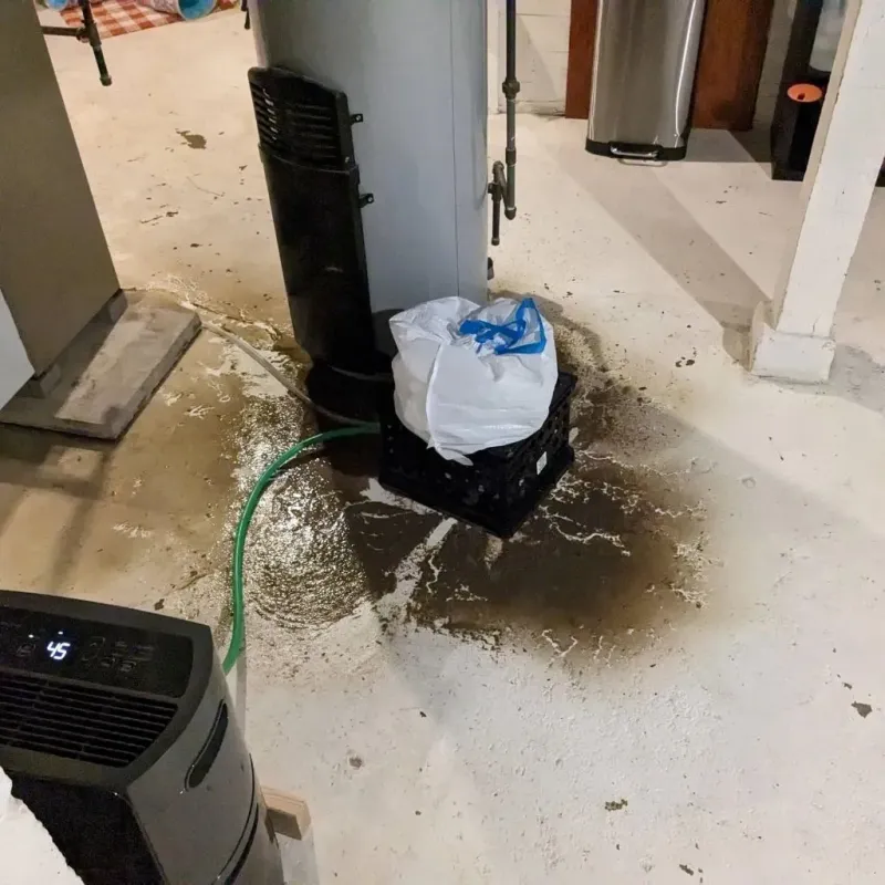 Sewage Backup Cleanup Service in Yadkinville, NC